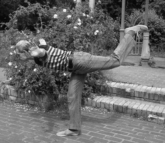 Иллюстрация к книге — Ци-Гун Пяти зверей. Правда и сказка [_44.jpg]