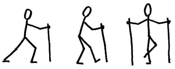 Иллюстрация к книге — Ци-Гун Пяти зверей. Правда и сказка [_49.jpg]