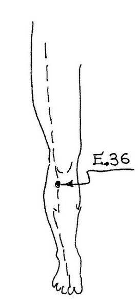 Иллюстрация к книге — Ци-Гун Пяти зверей. Правда и сказка [_54.jpg]