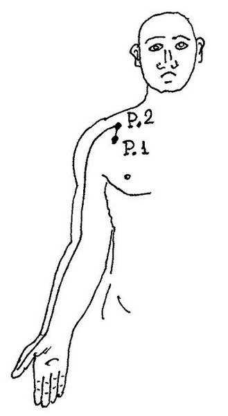 Иллюстрация к книге — Ци-Гун Пяти зверей. Правда и сказка [_56.jpg]