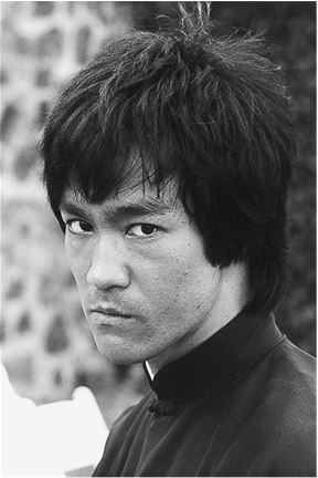 Иллюстрация к книге — Брюс Ли. Путь совершенства [i_002.jpg]