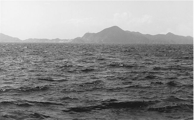 Иллюстрация к книге — Брюс Ли. Путь совершенства [i_007.jpg]