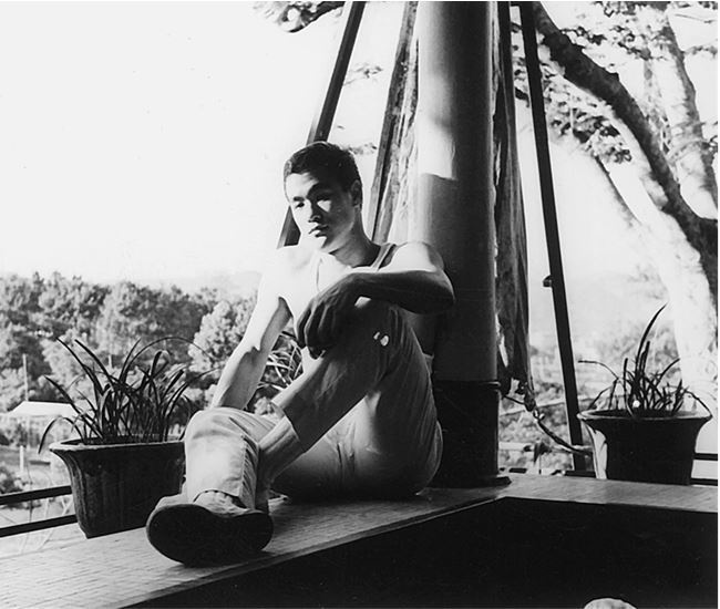 Иллюстрация к книге — Брюс Ли. Путь совершенства [i_021.jpg]