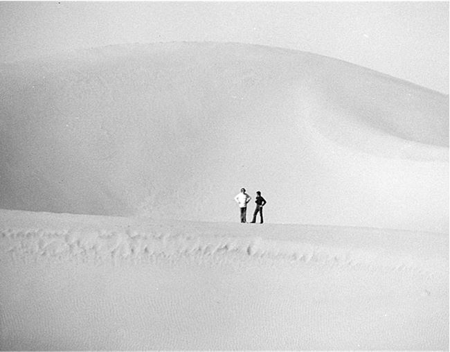 Иллюстрация к книге — Брюс Ли. Путь совершенства [i_031.jpg]