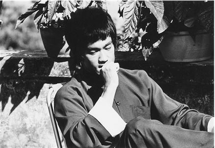 Иллюстрация к книге — Брюс Ли. Путь совершенства [i_046.jpg]