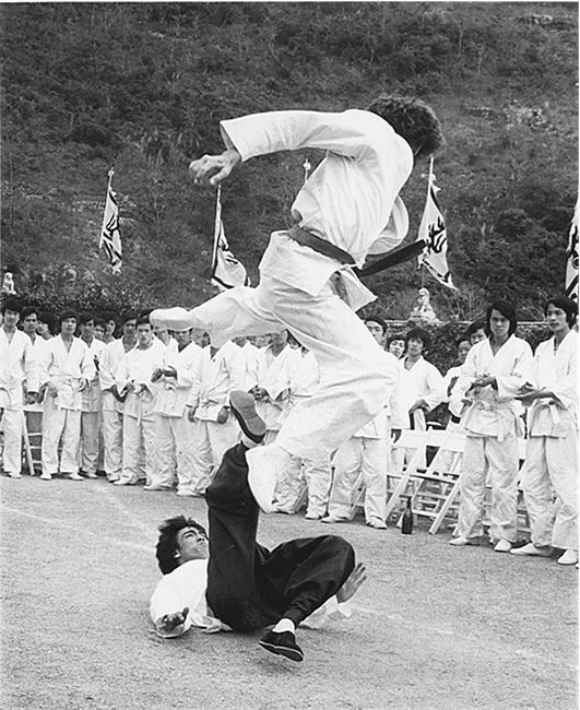 Иллюстрация к книге — Брюс Ли. Путь совершенства [i_051.jpg]