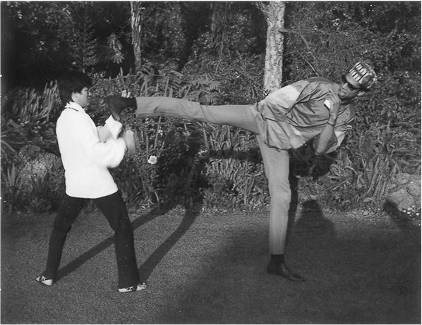 Иллюстрация к книге — Брюс Ли. Путь совершенства [i_053.jpg]