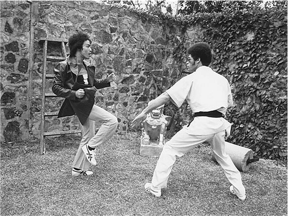 Иллюстрация к книге — Брюс Ли. Путь совершенства [i_062.jpg]