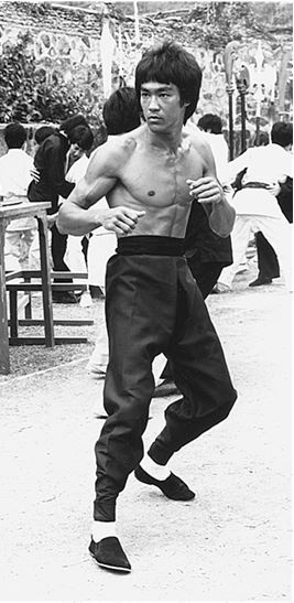 Иллюстрация к книге — Брюс Ли. Путь совершенства [i_069.jpg]