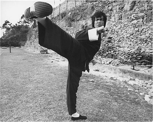 Иллюстрация к книге — Брюс Ли. Путь совершенства [i_073.jpg]