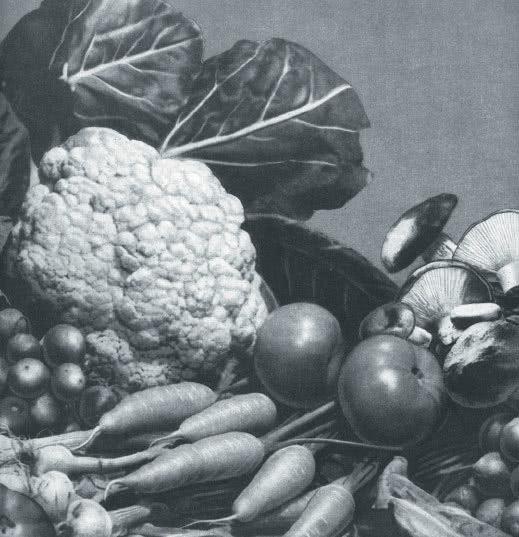 Иллюстрация к книге — Книга о вкусной жизни. Небольшая советская энциклопедия [i_024.jpg]