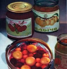 Иллюстрация к книге — Книга о вкусной жизни. Небольшая советская энциклопедия [i_027.jpg]