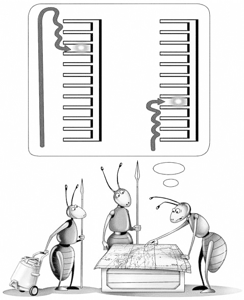 Иллюстрация к книге — Эволюция на пальцах. Для детей и родителей, которые хотят объяснять детям [_19.jpg]