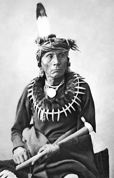 Иллюстрация к книге — Военное дело индейцев Дикого Запада. Самая полная энциклопедия [i_026.jpg]