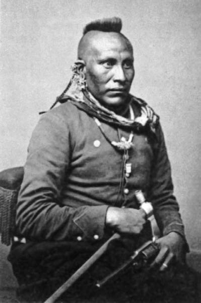 Иллюстрация к книге — Военное дело индейцев Дикого Запада. Самая полная энциклопедия [i_030.jpg]