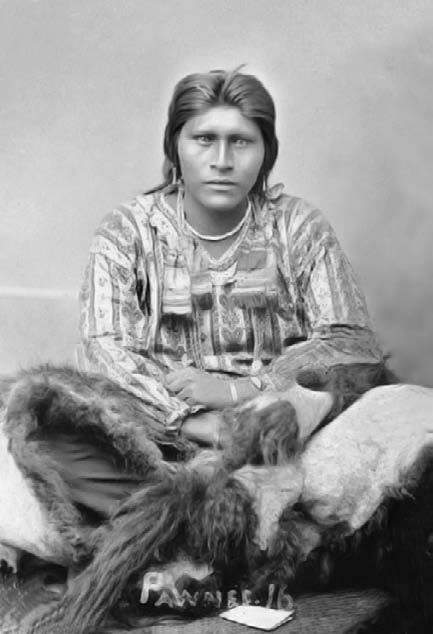 Иллюстрация к книге — Военное дело индейцев Дикого Запада. Самая полная энциклопедия [i_031.jpg]