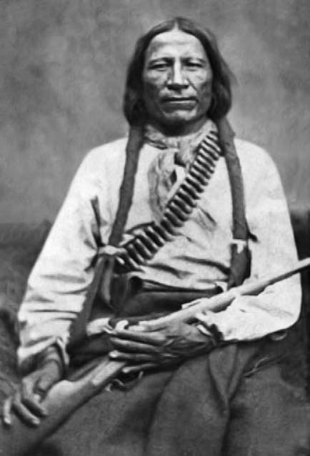 Иллюстрация к книге — Военное дело индейцев Дикого Запада. Самая полная энциклопедия [i_036.jpg]