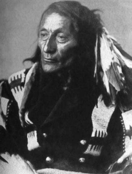 Иллюстрация к книге — Военное дело индейцев Дикого Запада. Самая полная энциклопедия [i_042.jpg]