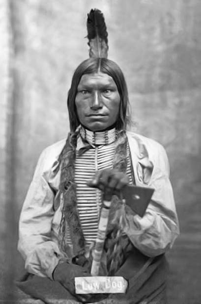 Иллюстрация к книге — Военное дело индейцев Дикого Запада. Самая полная энциклопедия [i_050.jpg]