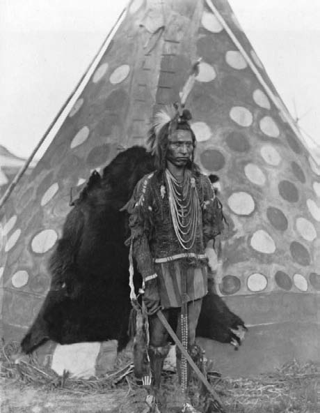 Иллюстрация к книге — Военное дело индейцев Дикого Запада. Самая полная энциклопедия [i_072.jpg]