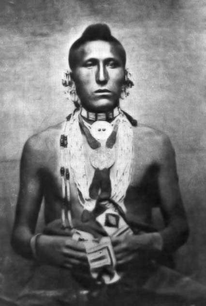 Иллюстрация к книге — Военное дело индейцев Дикого Запада. Самая полная энциклопедия [i_085.jpg]