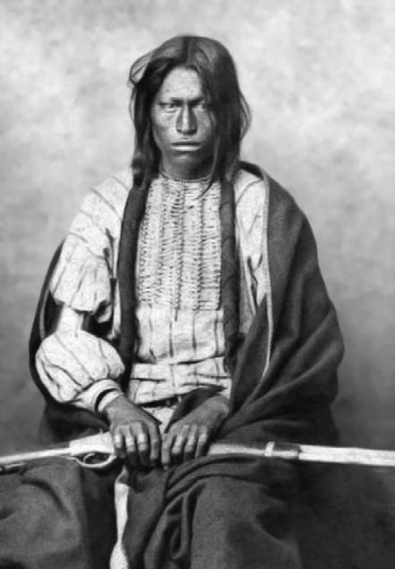 Иллюстрация к книге — Военное дело индейцев Дикого Запада. Самая полная энциклопедия [i_086.jpg]