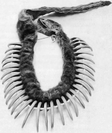 Иллюстрация к книге — Военное дело индейцев Дикого Запада. Самая полная энциклопедия [i_087.jpg]