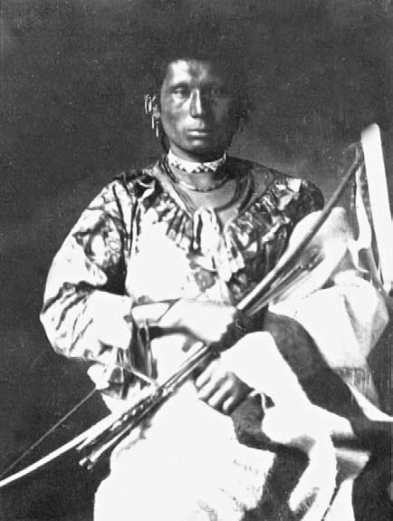 Иллюстрация к книге — Военное дело индейцев Дикого Запада. Самая полная энциклопедия [i_096.jpg]