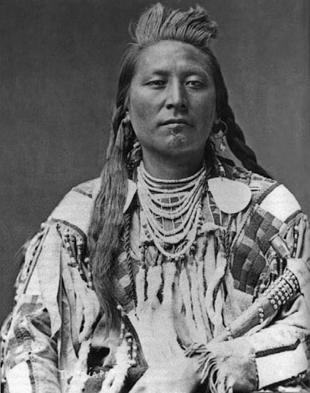 Иллюстрация к книге — Военное дело индейцев Дикого Запада. Самая полная энциклопедия [i_104.jpg]