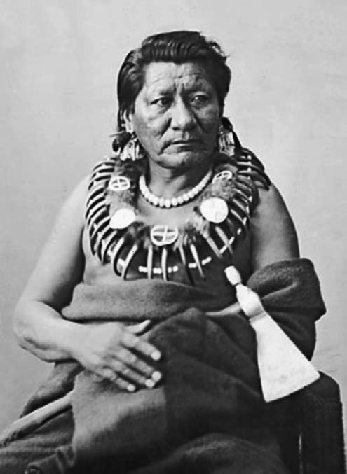 Иллюстрация к книге — Военное дело индейцев Дикого Запада. Самая полная энциклопедия [i_122.jpg]