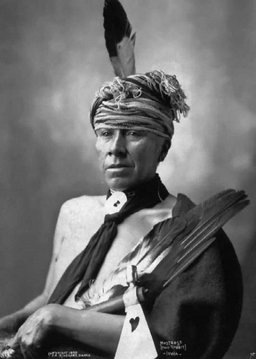 Иллюстрация к книге — Военное дело индейцев Дикого Запада. Самая полная энциклопедия [i_127.jpg]