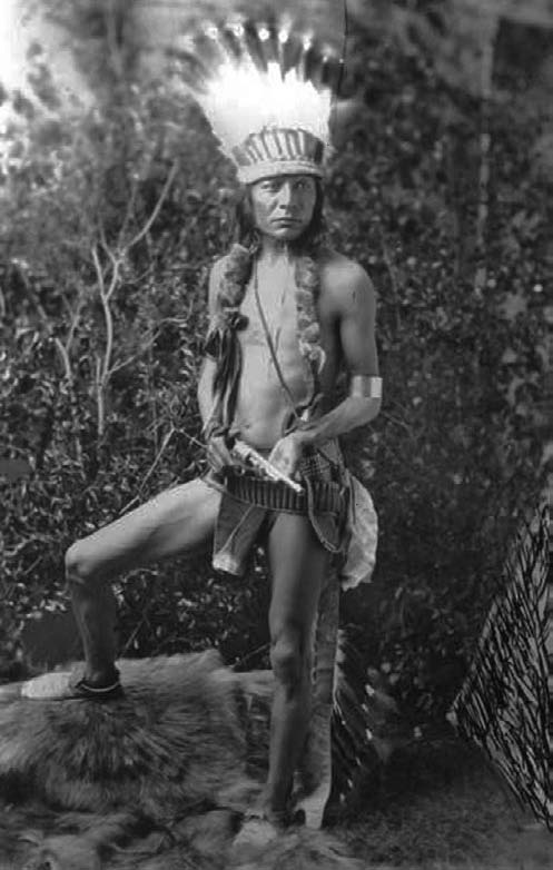 Иллюстрация к книге — Военное дело индейцев Дикого Запада. Самая полная энциклопедия [i_134.jpg]