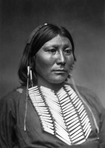 Иллюстрация к книге — Военное дело индейцев Дикого Запада. Самая полная энциклопедия [i_145.jpg]