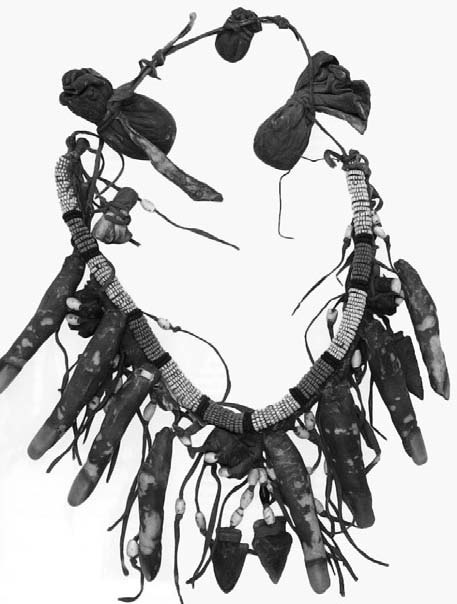 Иллюстрация к книге — Военное дело индейцев Дикого Запада. Самая полная энциклопедия [i_146.jpg]