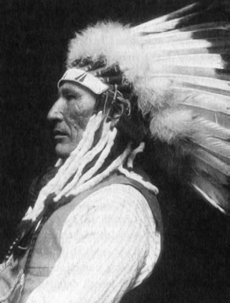 Иллюстрация к книге — Военное дело индейцев Дикого Запада. Самая полная энциклопедия [i_149.jpg]