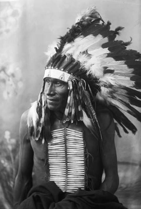 Иллюстрация к книге — Военное дело индейцев Дикого Запада. Самая полная энциклопедия [i_152.jpg]