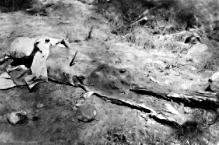 Иллюстрация к книге — Военное дело индейцев Дикого Запада. Самая полная энциклопедия [i_159.jpg]