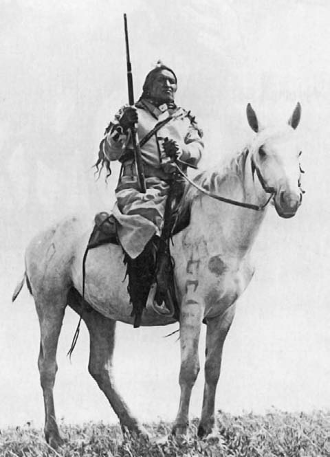 Иллюстрация к книге — Военное дело индейцев Дикого Запада. Самая полная энциклопедия [i_166.jpg]