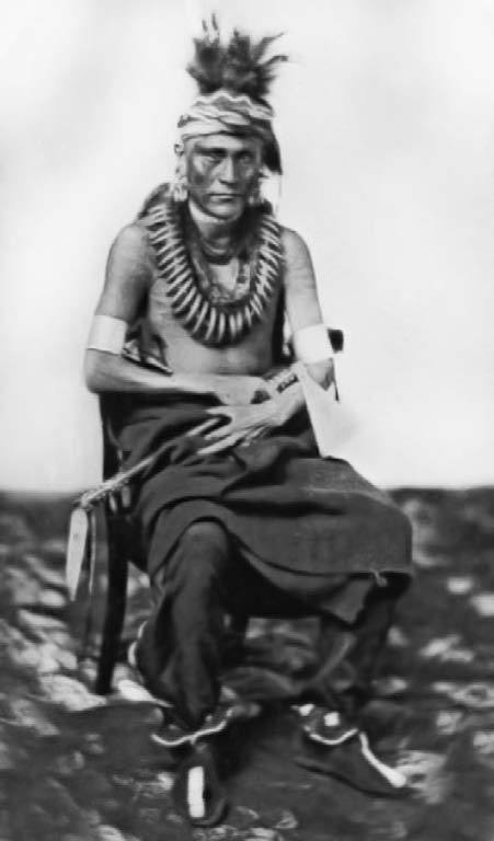 Иллюстрация к книге — Военное дело индейцев Дикого Запада. Самая полная энциклопедия [i_169.jpg]