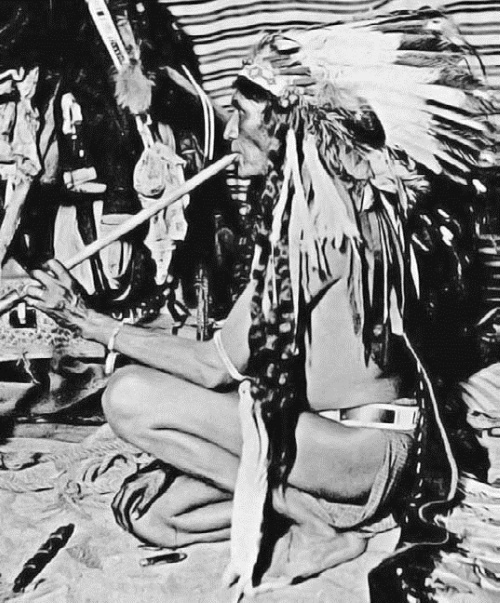 Иллюстрация к книге — Военное дело индейцев Дикого Запада. Самая полная энциклопедия [i_188.jpg]