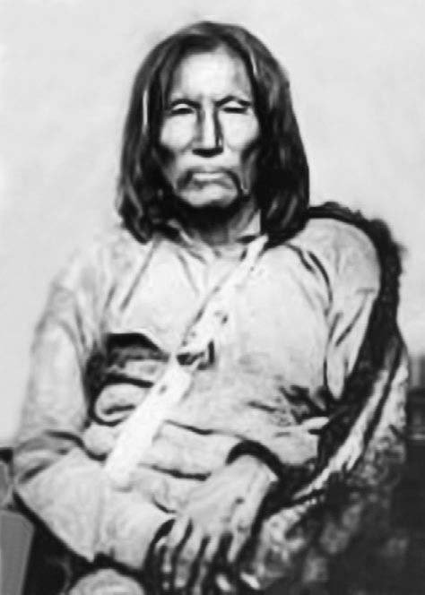 Иллюстрация к книге — Военное дело индейцев Дикого Запада. Самая полная энциклопедия [i_190.jpg]