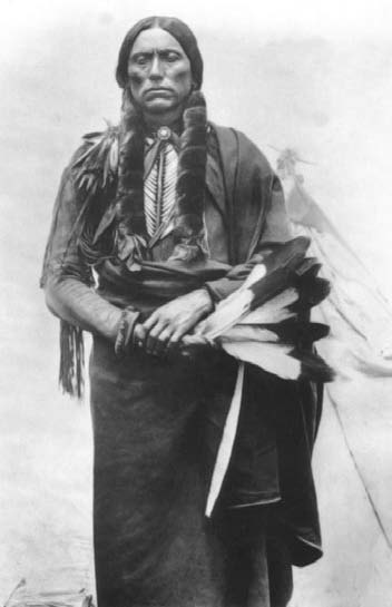 Иллюстрация к книге — Военное дело индейцев Дикого Запада. Самая полная энциклопедия [i_196.jpg]