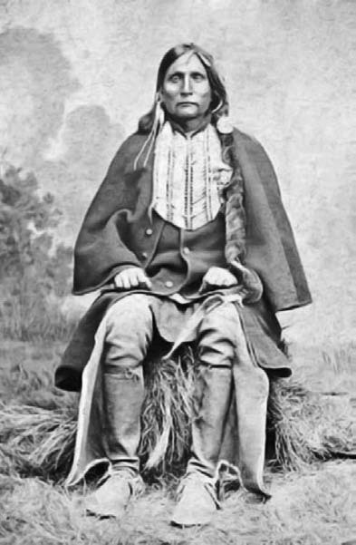 Иллюстрация к книге — Военное дело индейцев Дикого Запада. Самая полная энциклопедия [i_198.jpg]