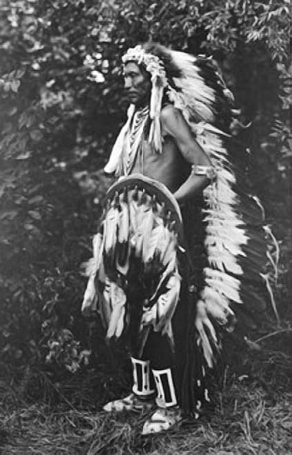 Иллюстрация к книге — Военное дело индейцев Дикого Запада. Самая полная энциклопедия [i_203.jpg]