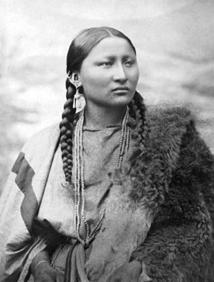 Иллюстрация к книге — Военное дело индейцев Дикого Запада. Самая полная энциклопедия [i_207.jpg]