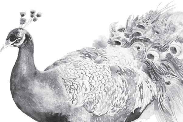 Иллюстрация к книге — Чижик-Пыжик [_103.jpg]