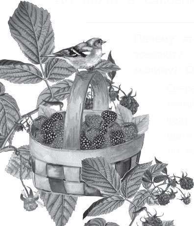 Иллюстрация к книге — Чижик-Пыжик [_106.jpg]