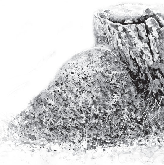 Иллюстрация к книге — Чижик-Пыжик [_109.jpg]