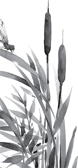 Иллюстрация к книге — Чижик-Пыжик [_115.jpg]