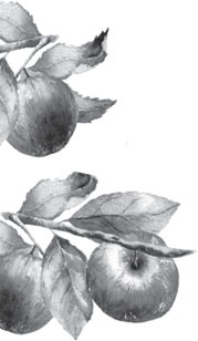 Иллюстрация к книге — Чижик-Пыжик [_125.jpg]